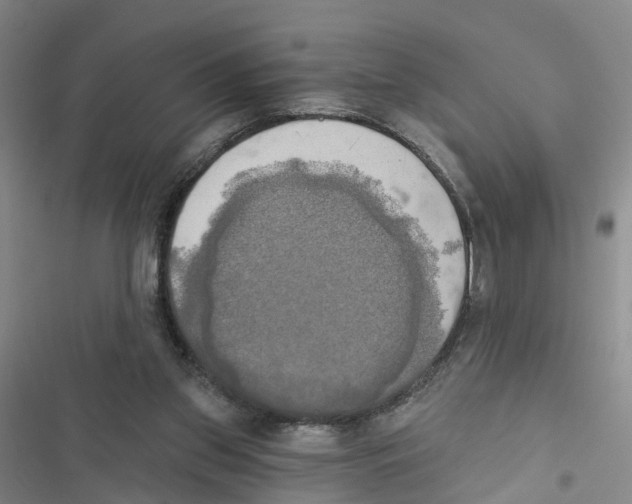 X0000116830157201001151233