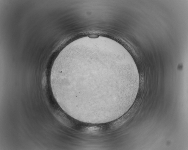 X0000116830158201001151233