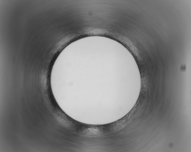 X0000116830159201001151233