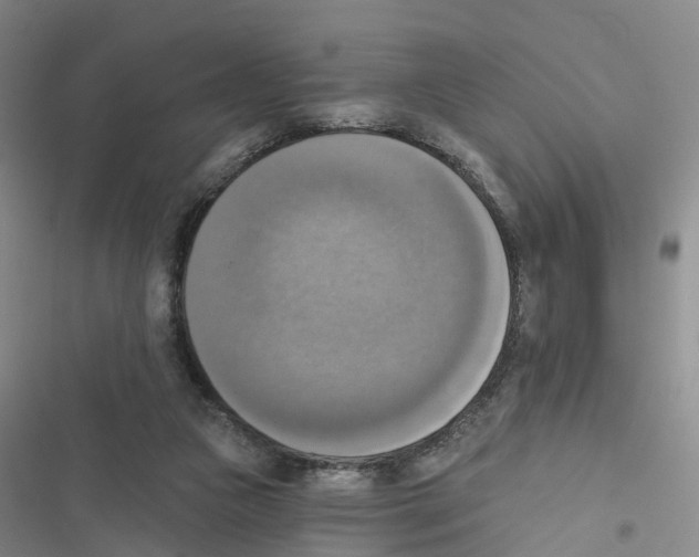 X0000116830161201001151233