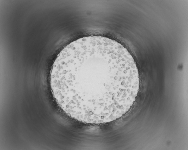 X0000116830162201001151233