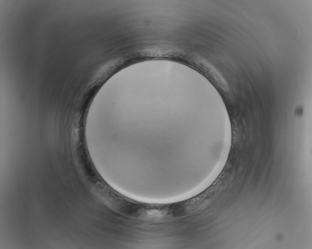 X0000116830163201001151233