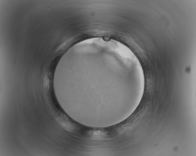 X0000116830165201001151233