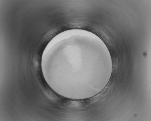 X0000116830166201001151234