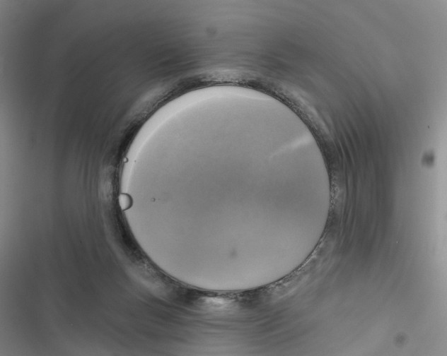 X0000116830167201001151234