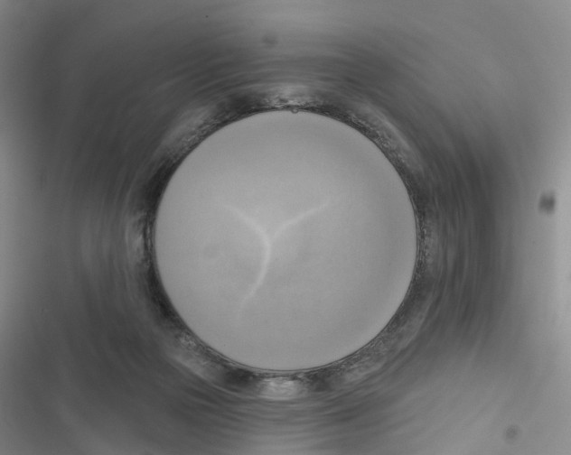 X0000116830169201001151234