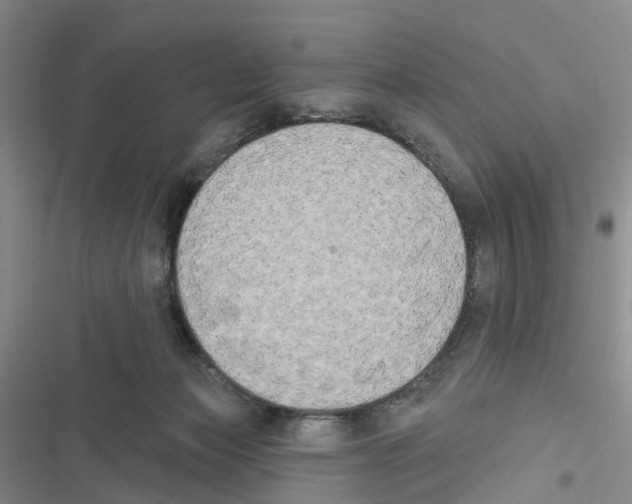 X0000116830173201001151234