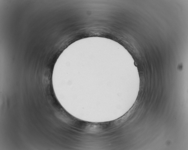 X0000116830174201001151234