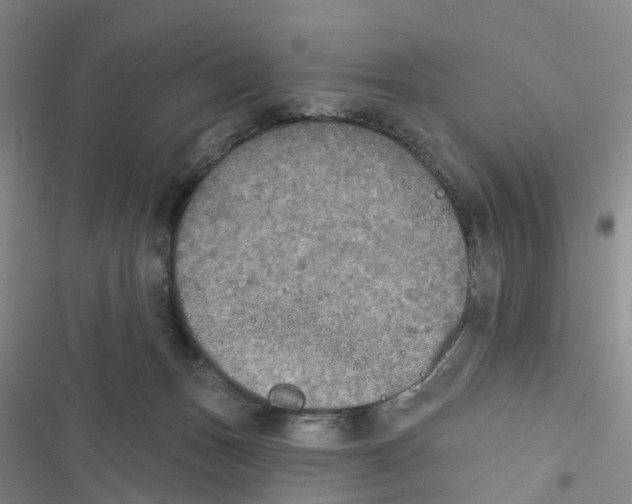 X0000116830175201001151234