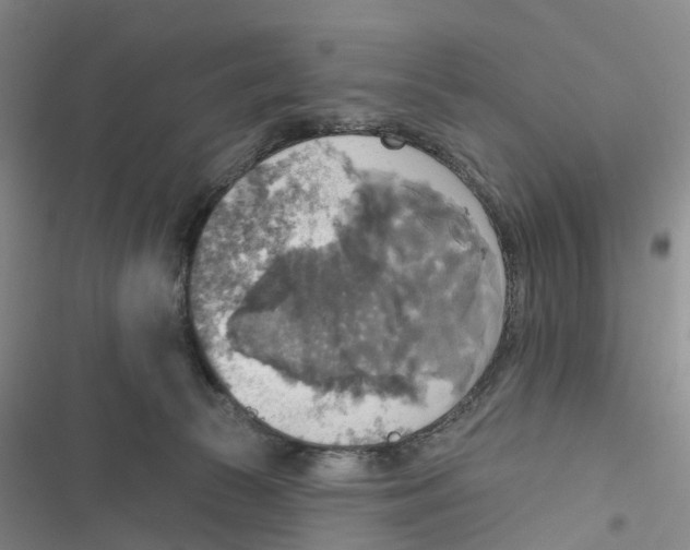 X0000116830177201001151234