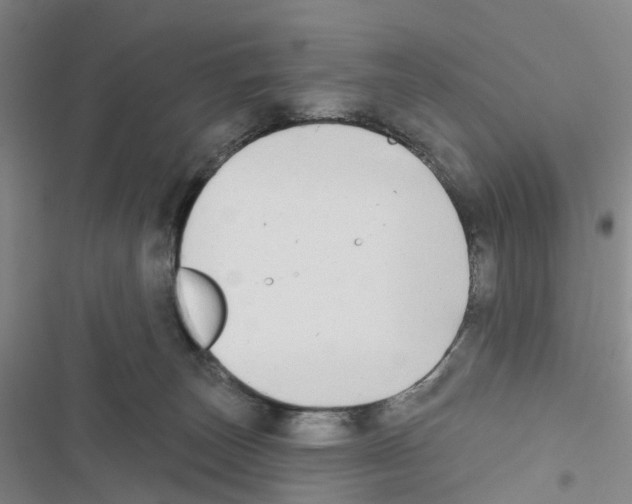 X0000116830179201001151234