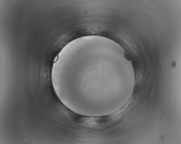 X0000116830182201001151234