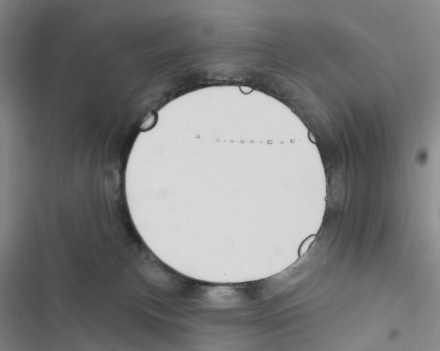 X0000116830183201001151234