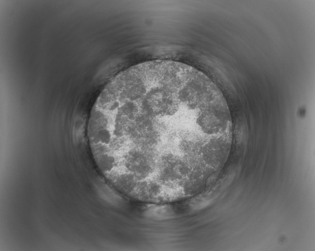 X0000116830185201001151234