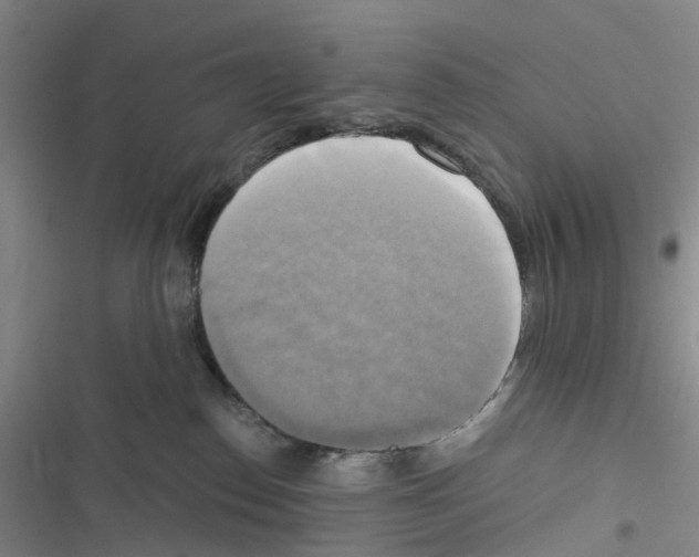 X0000116830186201001151234