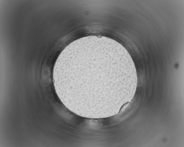 X0000116830187201001151234