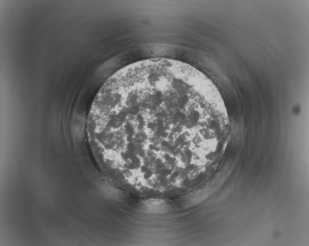 X0000116830189201001151234