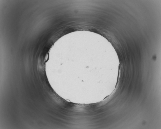 X0000116830190201001151234