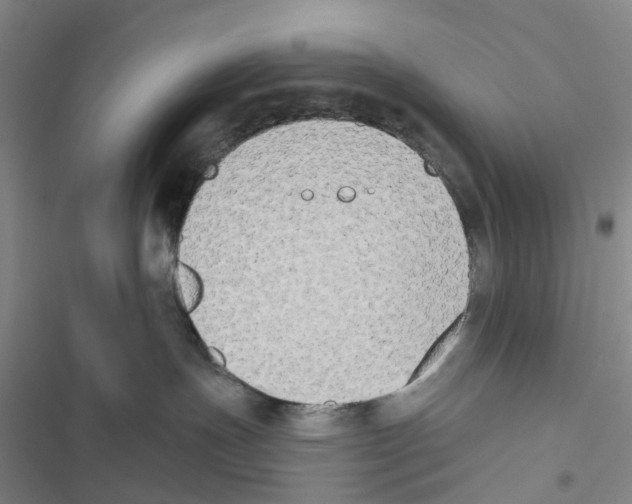 X0000116830191201001151234