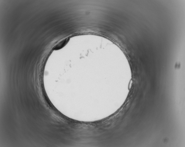 X0000116830193201001151233