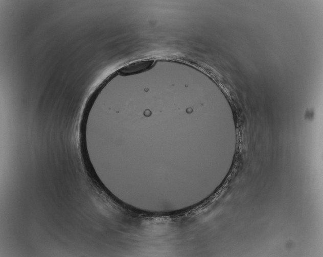 X0000116830196201001151233