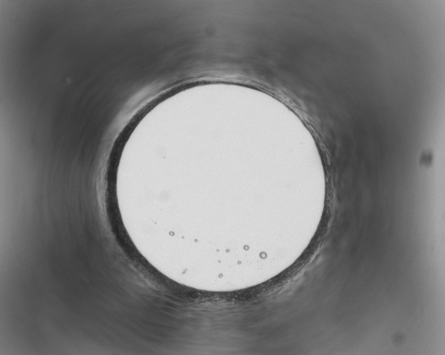 X0000116830199201001151233