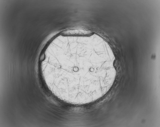 X0000116830200201001151233