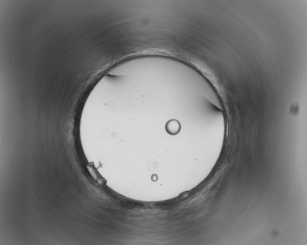 X0000116830201201001151233