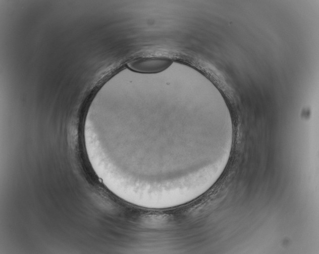 X0000116830202201001151233