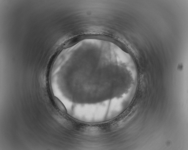 X0000116830203201001151233