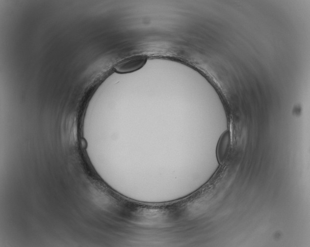 X0000116830205201001151233