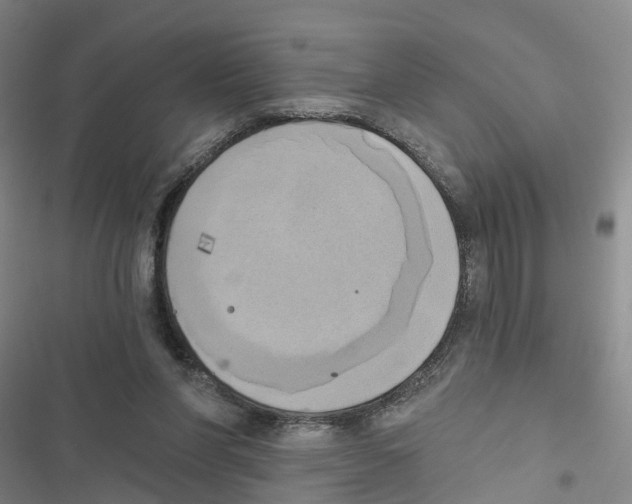 X0000116830206201001151233