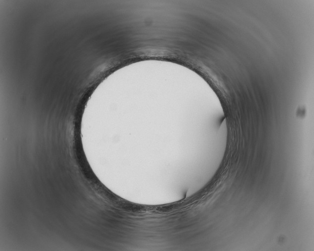 X0000116830207201001151233