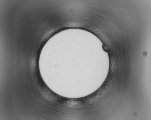 X0000116830208201001151233