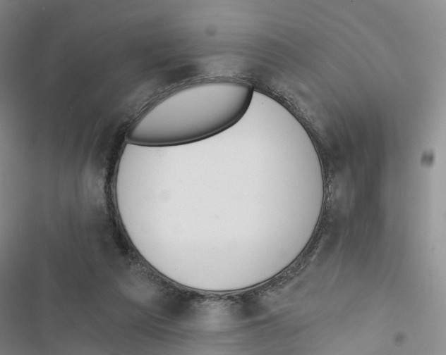 X0000116830209201001151233