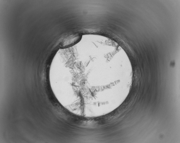 X0000116830212201001151233