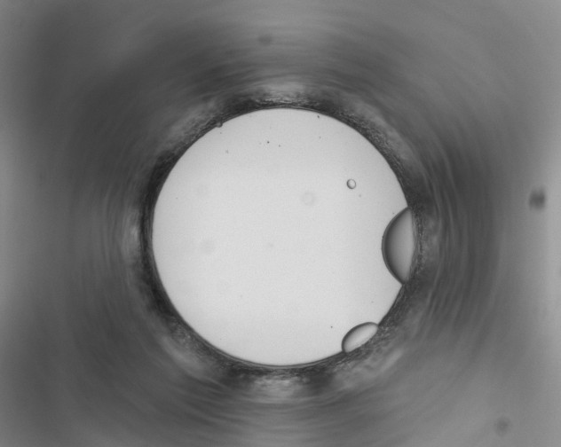 X0000116830213201001151233