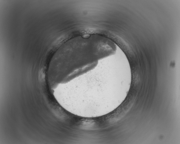 X0000116830214201001151233