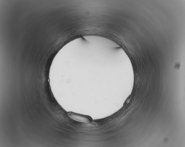 X0000116830215201001151233