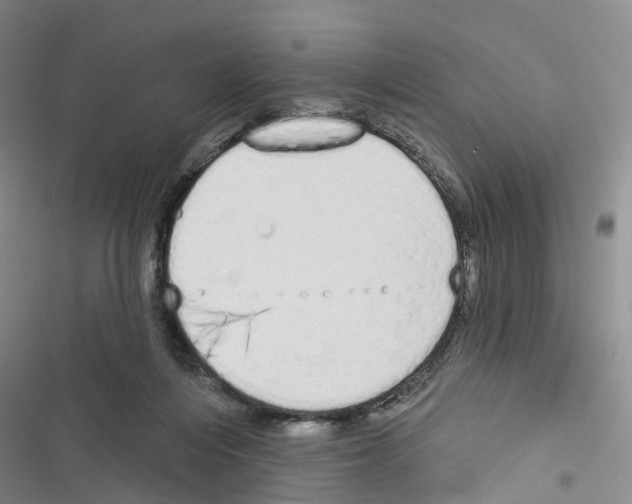 X0000116830216201001151233