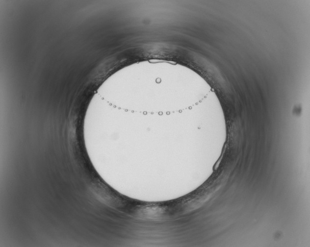 X0000116830217201001151233