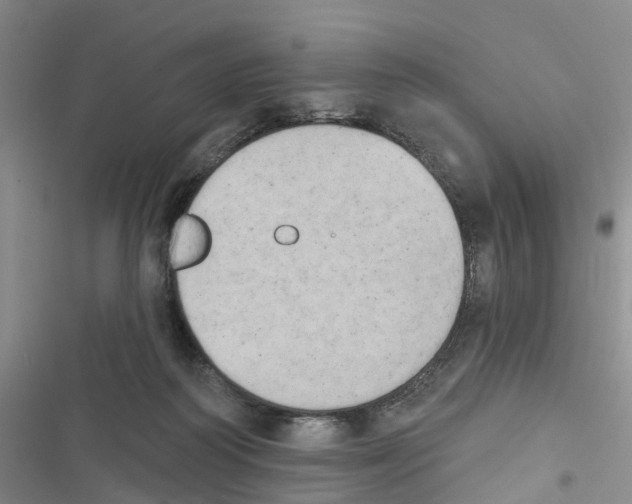 X0000116830218201001151233