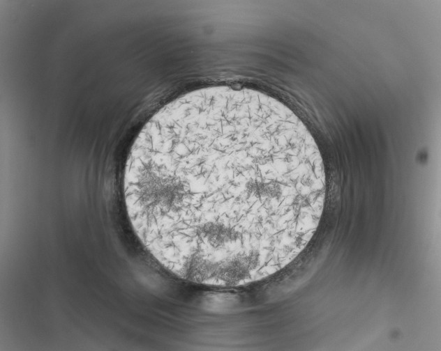 X0000116830220201001151233