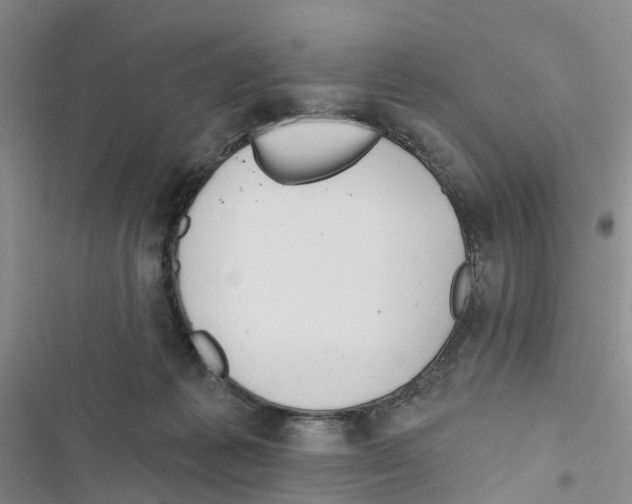 X0000116830221201001151233