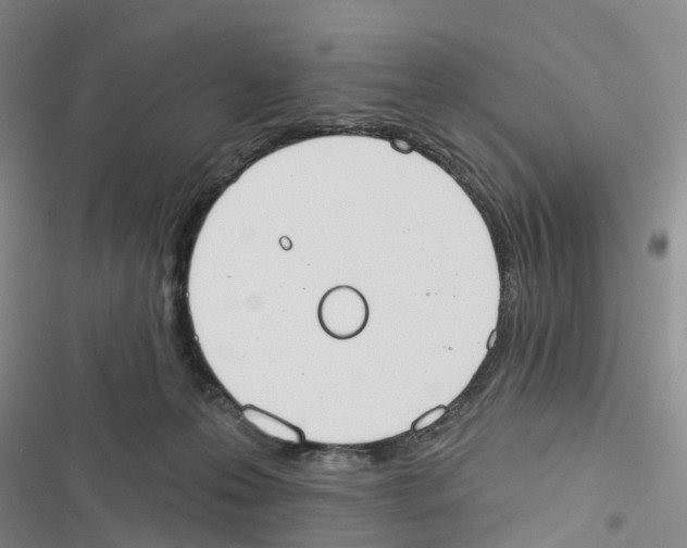 X0000116830223201001151233