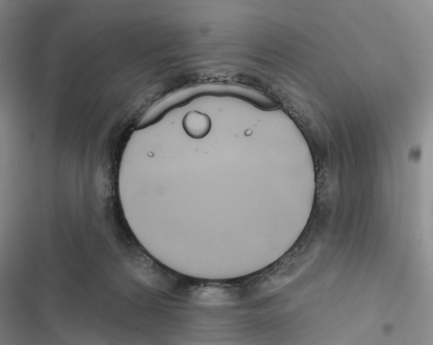 X0000116830224201001151233