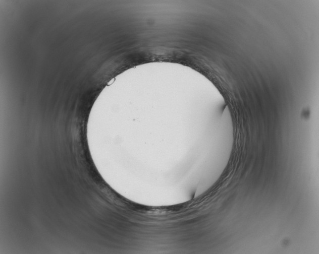 X0000116830225201001151233