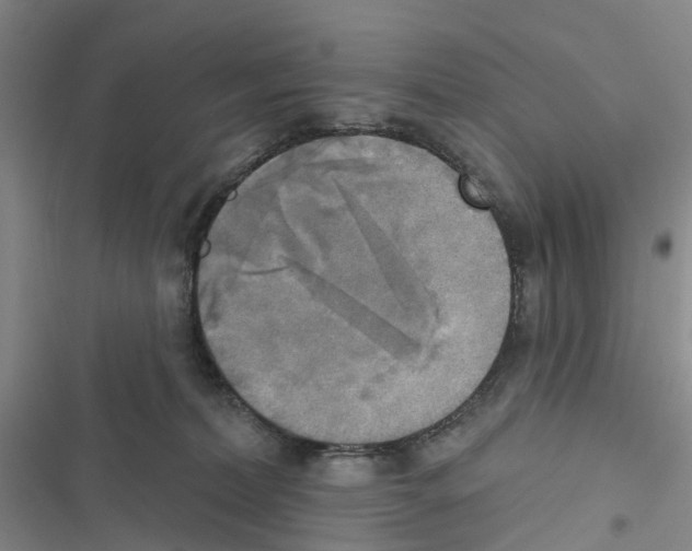 X0000116830228201001151233