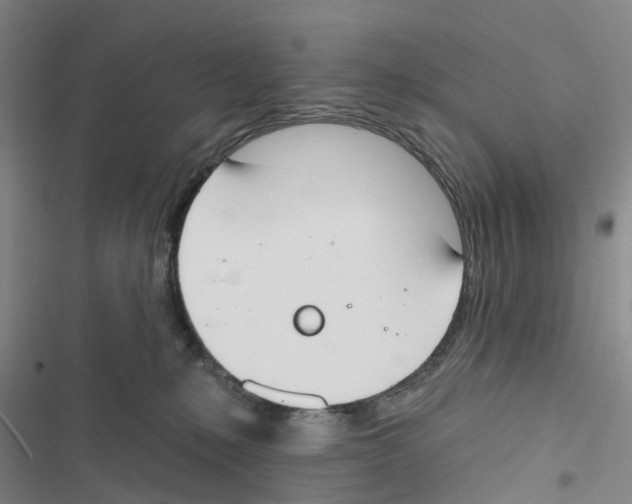 X0000116830231201001151233