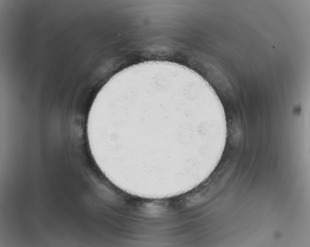 X0000116830232201001151233